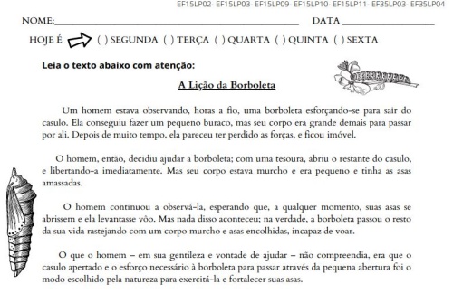 atividade de volta às aulas lagarta e a borboleta